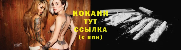 гидра Волоколамск