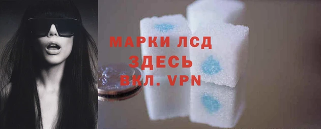 гидра Волоколамск