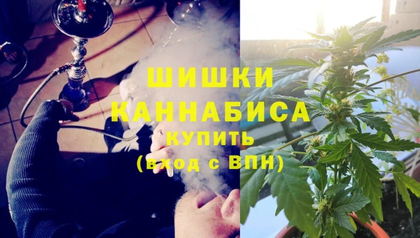 гидра Волоколамск