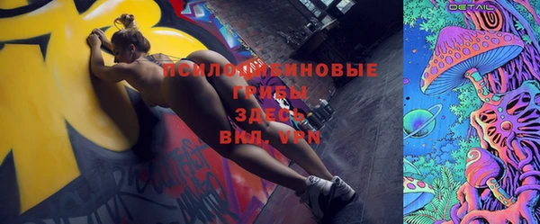 гидра Волоколамск