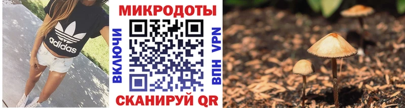 Псилоцибиновые грибы ЛСД  blacksprut сайт  Калининград  наркотики 
